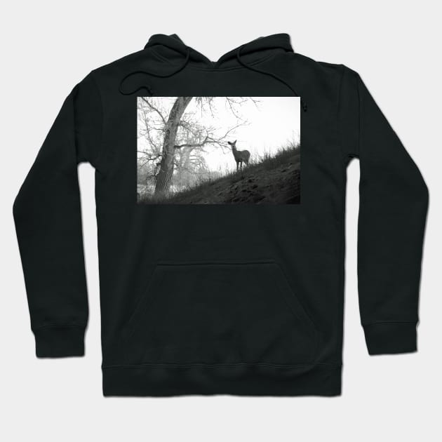 Cherry Creek Wilderness Hoodie by bobmeyers